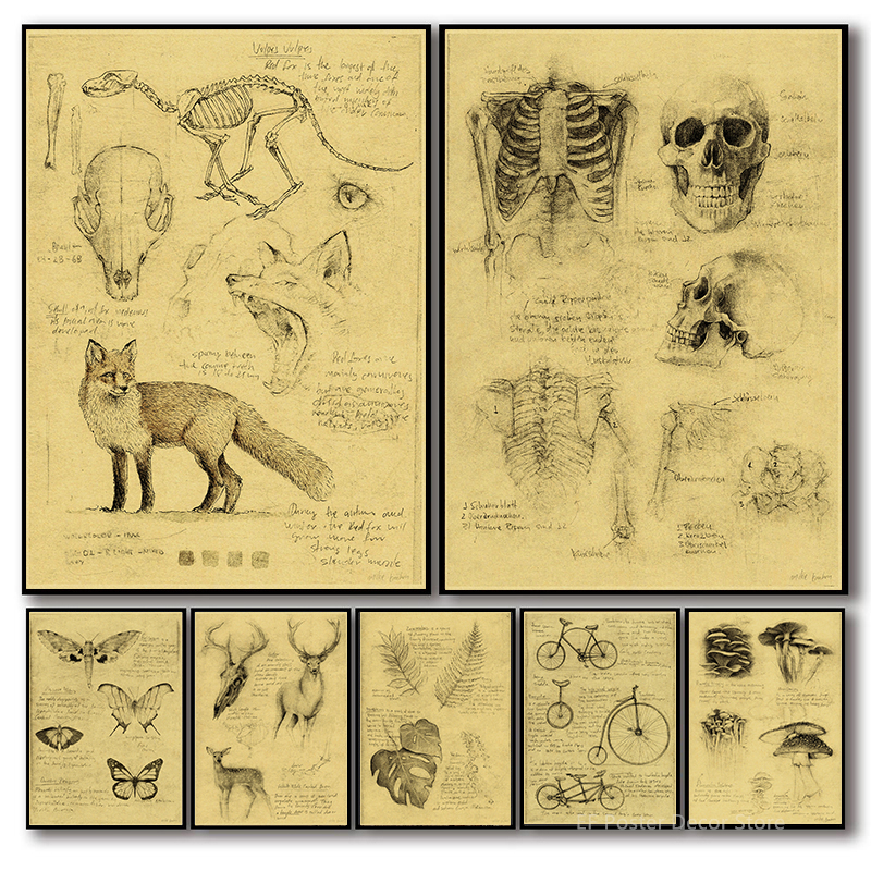 Old Sketch Studies Poster Vulp - Vintage Fashion Wallpaper avaliação e preço